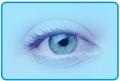 Temas de Optometria